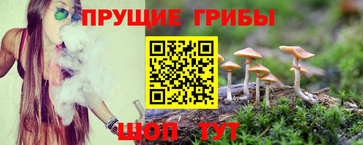 Галлюциногенные грибы Magic Shrooms Симферополь